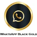 Whatsapp Black Gold
