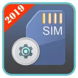 Sim Service Manager 2019 logo