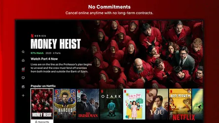 Netflix screenshot